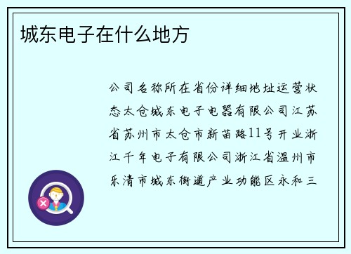 城东电子在什么地方